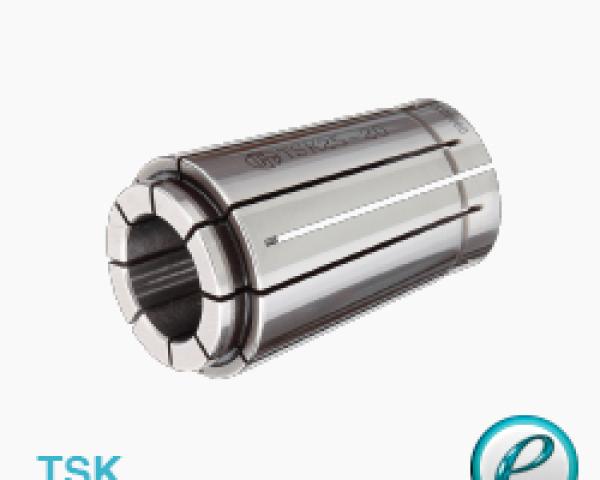 C&Ocirc;NG TY TNHH GIẢI PH&Aacute;P PH&Aacute;T TRIỂN KỸ THUẬT